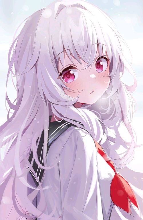 小蒲公英三年七胎